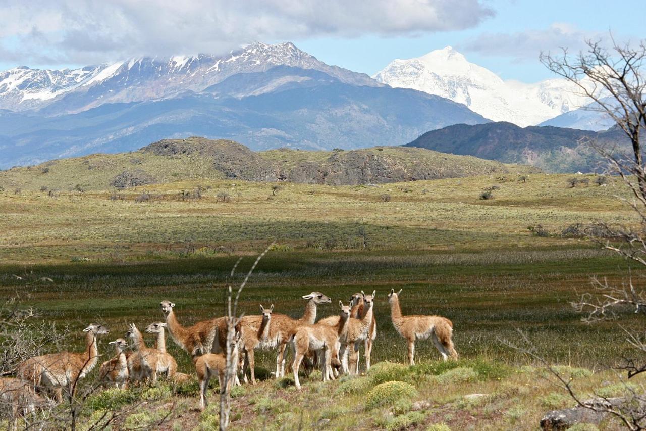 Lodge El Mirador De Guadal Пуэрто-Гуадаль Экстерьер фото