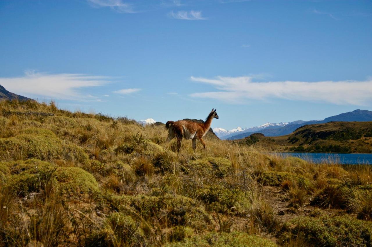 Lodge El Mirador De Guadal Пуэрто-Гуадаль Экстерьер фото